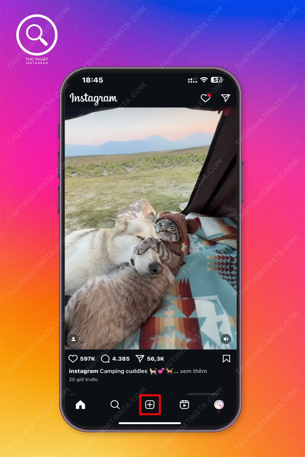 Bước 1: Vào Instagram > Chọn biểu tượng dấu cộng để đăng ảnh/video.