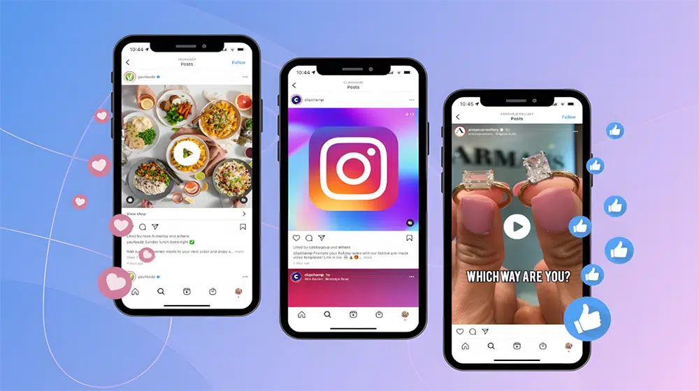 Giải thích Feed Instagram là gì