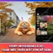 Story Instagram Là Gì | Chạm Mốc Triệu Mắt Xem Dễ Dàng